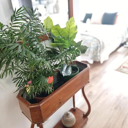 Kyra House Centro Vigo Apartment Екстериор снимка