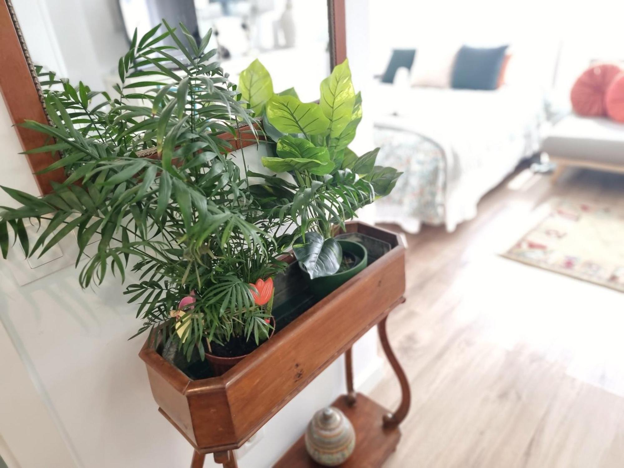 Kyra House Centro Vigo Apartment Екстериор снимка